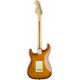 GUITARRA ELÉTRICA FENDER AM PERF STRAT RW HBST