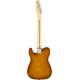GUITARRA ELÉTRICA FENDER AM PERF TELE RW HBST