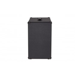 COLUNA DVMARK NEOCLASSIC 112 SMALL 1X12'' 150W
