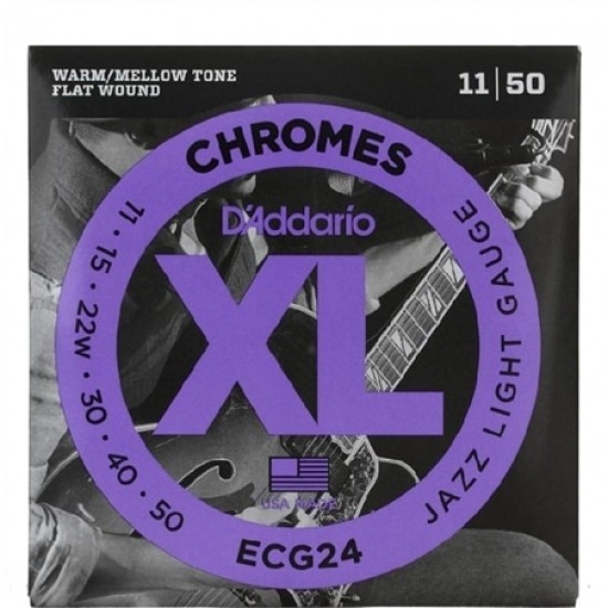 CORDAS D'ADDARIO ECG24