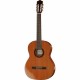 GUITARRA CLASSICA CORDOBA C5 CD IBERIA