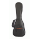 SACO ASTHON ARM240C PREMIUM UKULELE CONCERTO