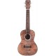 CORDOBA 15CFM CONCERTO SATIN FLAME MH CINZ