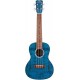 CORDOBA 15CFM CONCERTO SATIN FLAME MH BLUE
