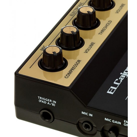 ROLAND EC-10M ELCAJON MIC PROCESSOR ROLAND EC-10M ELCAJON MIC PROCESSOR