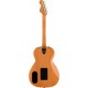GUITARRA FENDER HIGHWAY PARLOR MAH RW