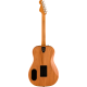 GUITARRA FENDER HIGHWAY DREADNOUGHT MAH