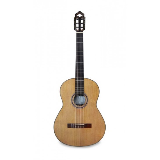 GUITARRA CLÁSSICA APC 9C