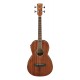 BAIXO ACÚSTICO IBANEZ PNB14E-OPN 