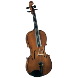 VIOLA CREMONA OUTFIT 13