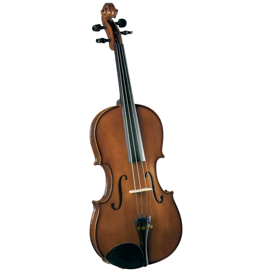 VIOLA CREMONA OUTFIT 13