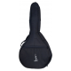 SACO APC SGF GUITARRA FADO