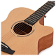 GUITARRA SEMI ACÚSTICA TANGLEWOOD ROADSTER TR4CE GUITARRA SEMI ACÚSTICA TANGLEWOOD ROADSTER TR4CE
