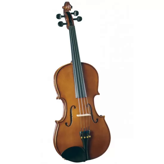 VIOLA CREMONA OUTFIT 15