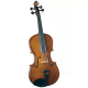 VIOLA CREMONA OUTFIT 15