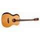 GUITARRA SEMI ACÚSTICA TANGLEWOOD TJ3E