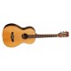 GUITARRA SEMI ACÚSTICA TANGLEWOOD TJ8E