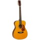 GUITARRA ACÚSTICA TANGLEWOOD TW40O-ANE