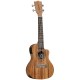 TANGLEWOOD CONCERTO TWT16-E