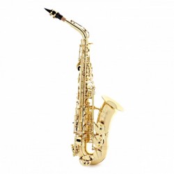 SAX ALTO BUFFET CRAMPON BC8301-1-0GB