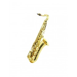 SAXO ALTO ALYSÉE A 808L
