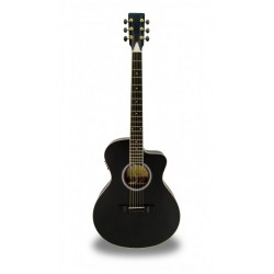 GUITARRA SEMI-ACÚSTICA APC EA100 BK CW c/PICK UP