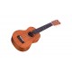 PACK UKULELE CORDOBA UP1S SOPRANO 3906