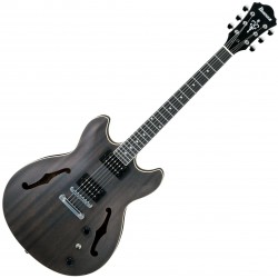 IBANEZ AS53-TKF ARTCORE