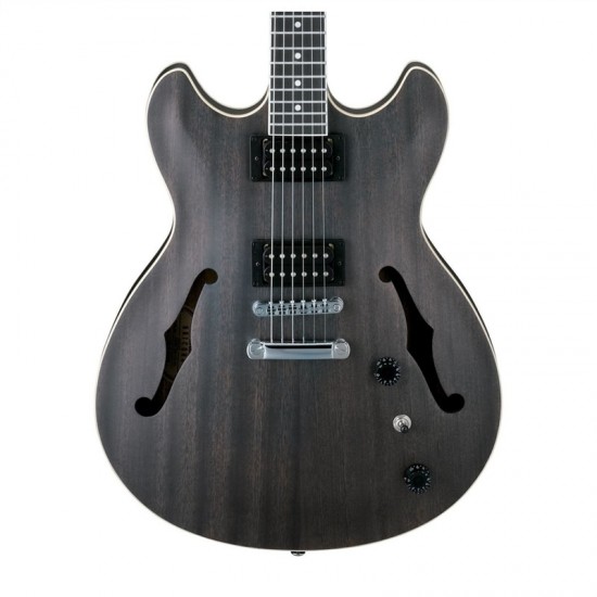IBANEZ AS53-TKF ARTCORE