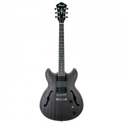 IBANEZ AS53-TKF ARTCORE