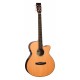 GUITARRA SEMI ACÚSTICA TANGLEWOOD TRS4CE